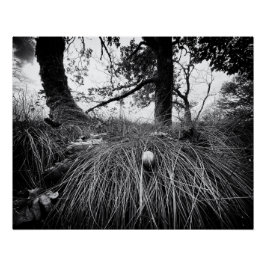 Forest on the mouse level poster