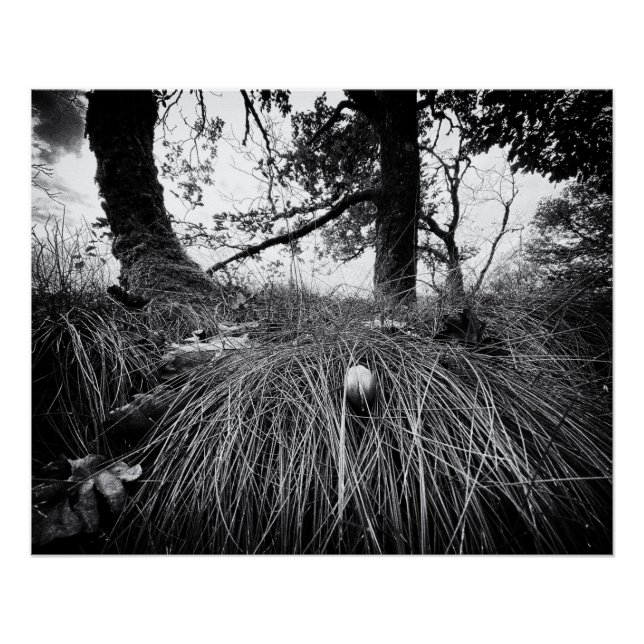 Forest on the mouse level poster (Vorderseite)