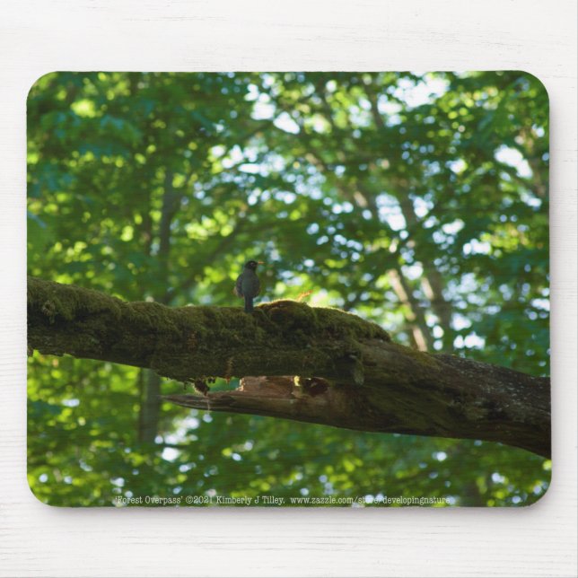 Forest Overpass Mousepad (Vorne)