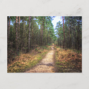 Forest Path HDR. Art Postcard Postkarte