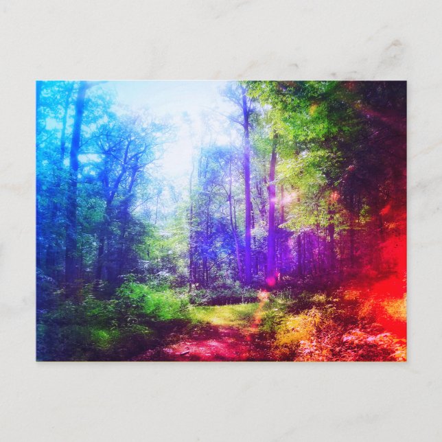 FOREST RAINBOW POSTCARD POSTKARTE (Vorderseite)