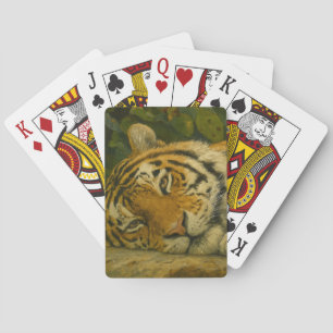 Forest Reverie - Tiger im Dschungellicht Spielkarten