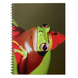 Forest Royalty - Spiral Foto Notebook Notizblock