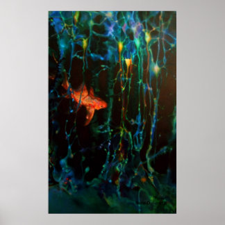 "Forest" Sarah Doherty 2008 Poster
