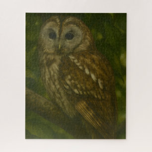 Forest Sentinel - Tawny Owl - Paradies für Naturfr