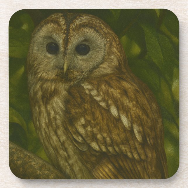 Forest Sentinel - Tawny Owl - Paradies für Naturfr Getränkeuntersetzer (Vorderseite)