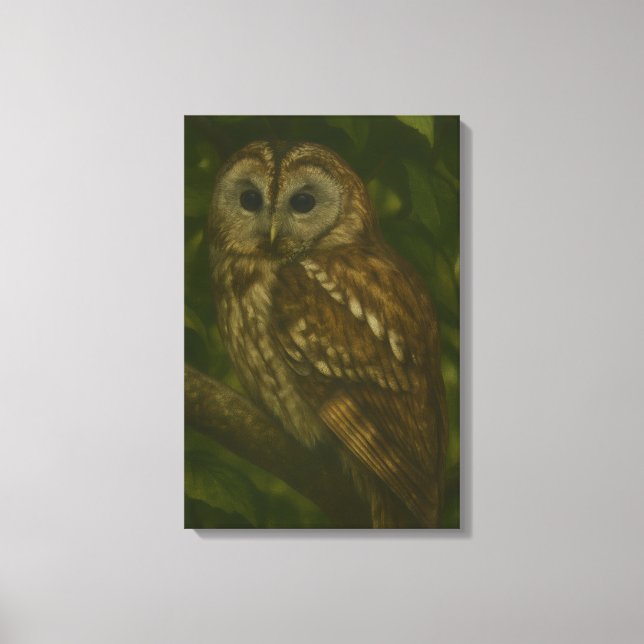 Forest Sentinel - Tawny Owl - Paradies für Naturfr Leinwanddruck (Vorderseite)