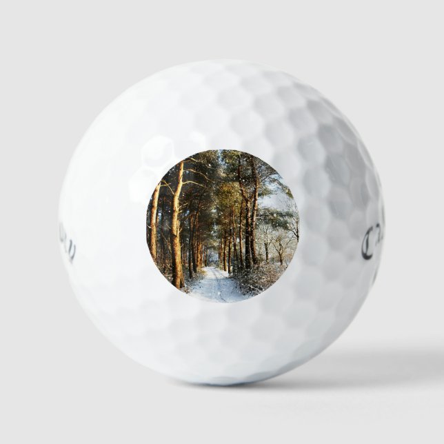 Forest Snow Scene css gbcnm Golfball (Vorderseite)