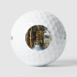 Forest Snow Scene ssf gbcna Golfball