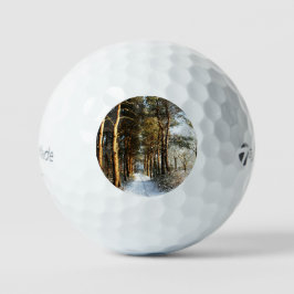 Forest Snow Scene tmtp5 gbcnm Golfball