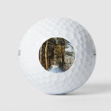 Forest Snow Scene wu gbcnm