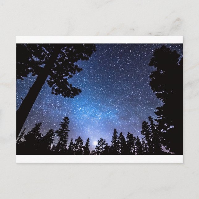 Forest Star Gazing eine Astronomie-Freude Postkarte (Vorderseite)