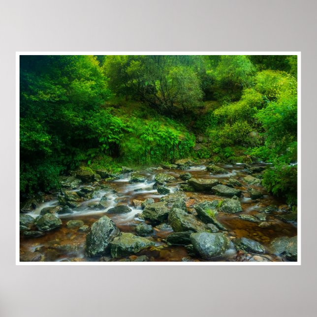 Forest Stream in Lush Woodland (Dargle River) Poster (Vorne)