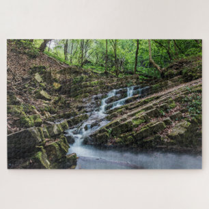 forest stream puzzle