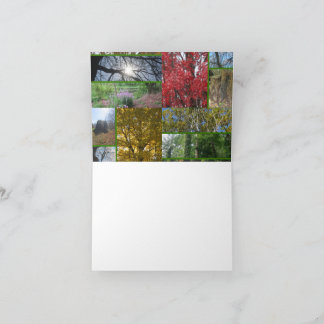 Forest/Trees Collage Dankeskarte