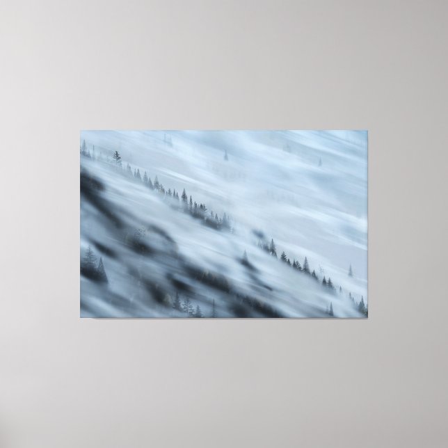 Forest Valley Leinwanddruck (Vorderseite)