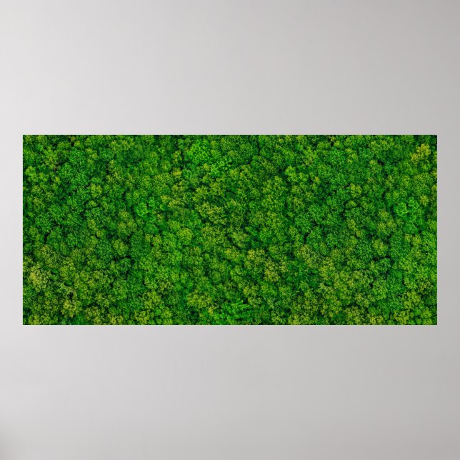 Forest view from above, aerial top view with copy  poster (Vorne)