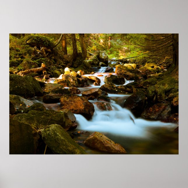 Forest Waterfall Poster (Vorne)