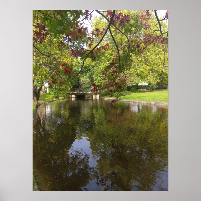 Forestier Lake Poster (Vorne)