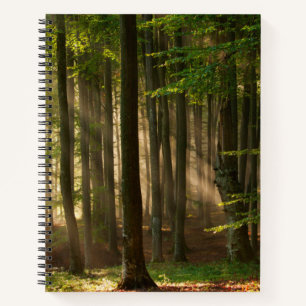 Forests   Autumn Forest Notizbuch