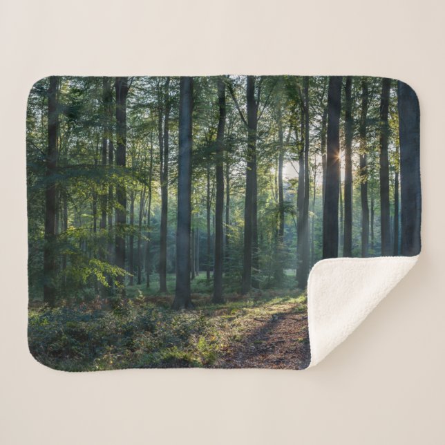 Forests | Black Forest Germany Sherpadecke (Vorderseite (Horizontal))