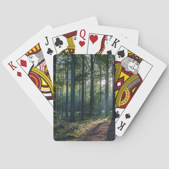 Forests Black Forest Germany Spielkarten (Rückseite)