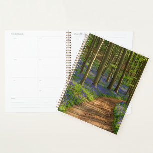Forests Bluebell Forest in Belgien Planer