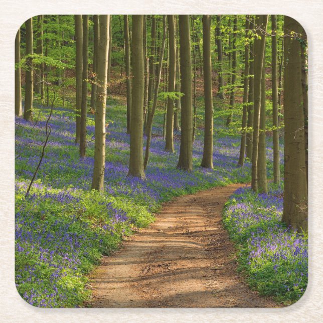 Forests Bluebell Forest in Belgien Rechteckiger Pappuntersetzer (Vorderseite)