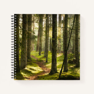 Forests Boreal Forest Sweden Notizbuch
