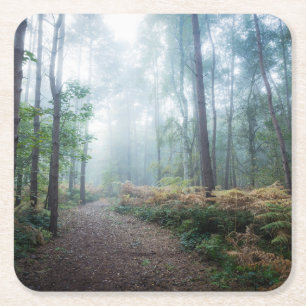 Forests Dark Foggy Woods Norfolk UK Rechteckiger Pappuntersetzer