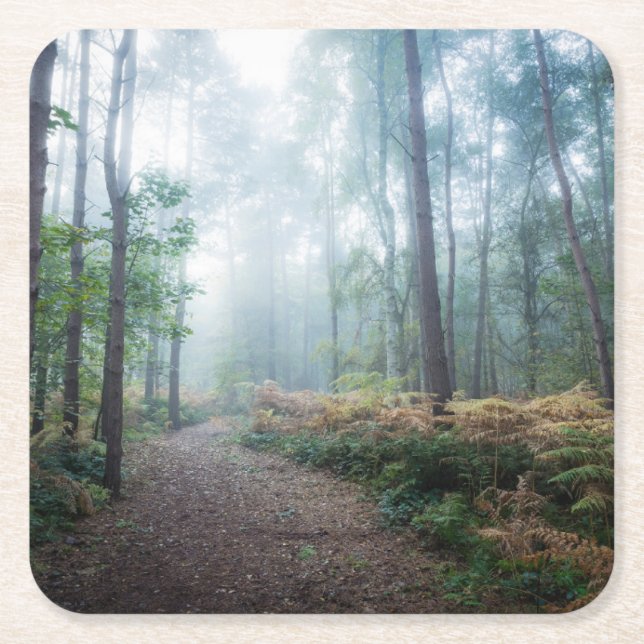 Forests Dark Foggy Woods Norfolk UK Rechteckiger Pappuntersetzer (Vorderseite)