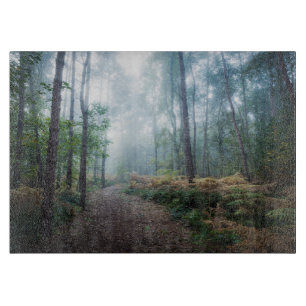 Forests Dark Foggy Woods Norfolk UK Schneidebrett
