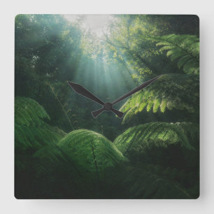 Forests   Ferns in Rainforest Quadratische Wanduhr