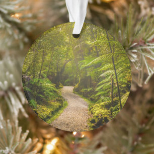 Forests Footpath Into Forest Ornament