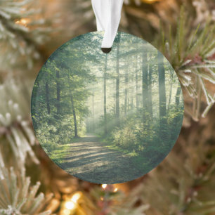 Forests Forest Path Hamburg Germany Ornament