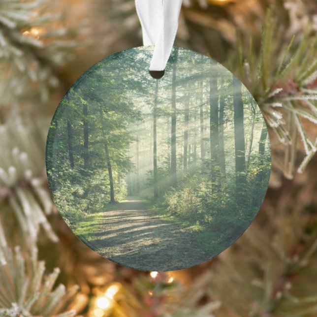 Forests Forest Path Hamburg Germany Ornament (Baum)