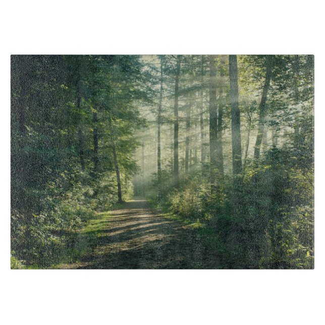 Forests Forest Path Hamburg Germany Schneidebrett (Vorderseite)