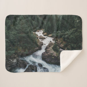 Forests Grison Graubunden Kanton Sherpadecke