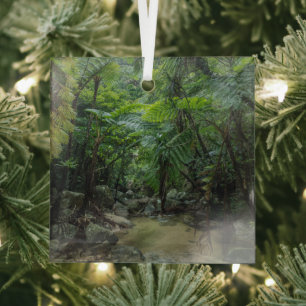 Forests   Iriomote Ishigaki National Park Ornament Aus Glas