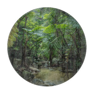 Forests   Iriomote Ishigaki National Park Schneidebrett