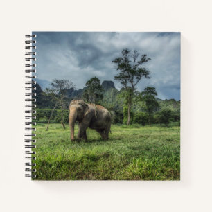 Forests Kao Sok National Park Notizbuch