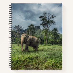 Forests Kao Sok Nationalpark Notizbuch