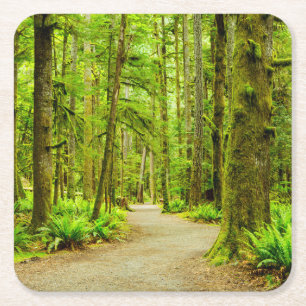 Forests Olympic National Park Rechteckiger Pappuntersetzer