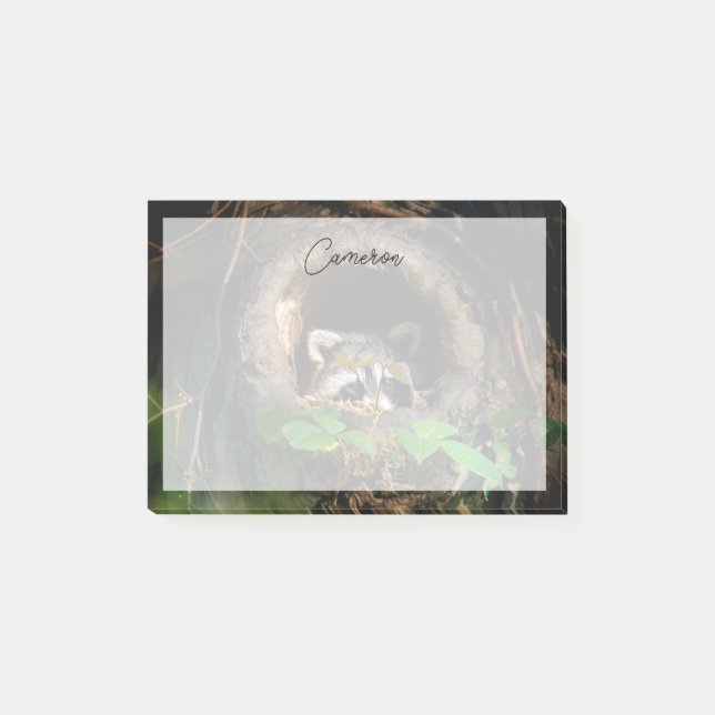 Forests Raccoon Peeking Post-it Klebezettel (Vorderseite)