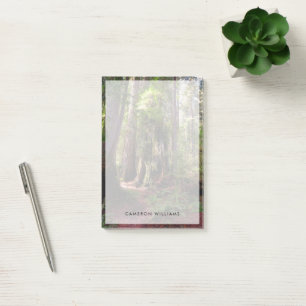 Forests Redwood Forest California Post-it Klebezettel
