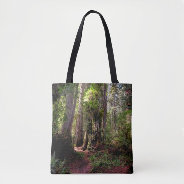Forests Redwood Forest California Tasche (Vorderseite)