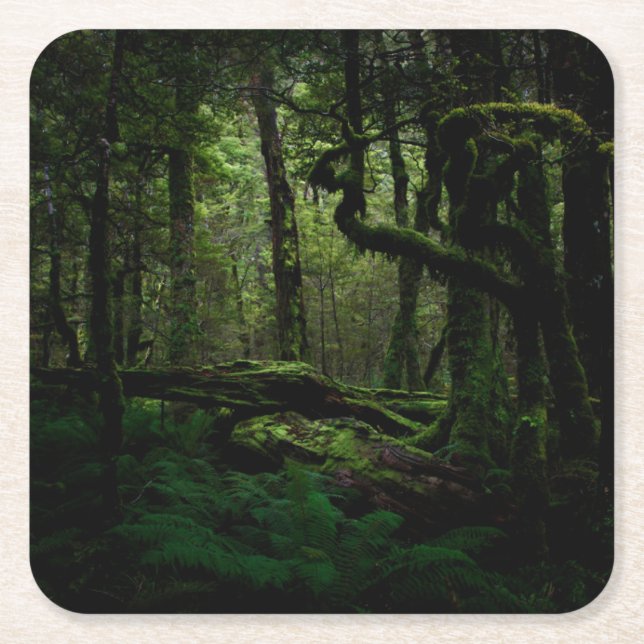 Forests Routeburn | Track Fiordland National Park Rechteckiger Pappuntersetzer (Vorderseite)
