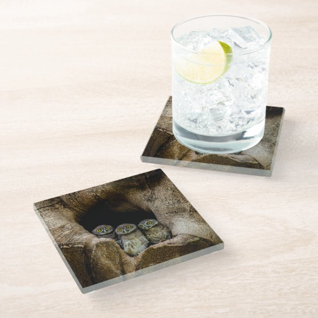 Forests Three Owls Looking Glasuntersetzer (Schrägansicht)