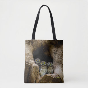 Forests Three Owls Looking Tasche
