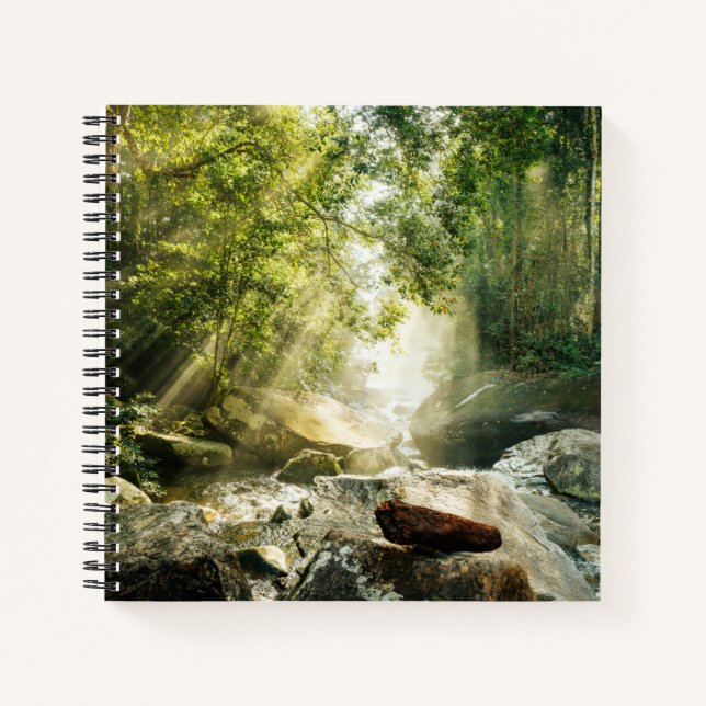 Forests | Tropical Jungle Forest Notizbuch (Vorderseite)